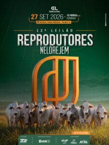 12-leilao-reprodutores-nelore-jem