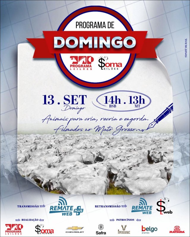 163° Programa de Domingo – Programa e Soma Leilões