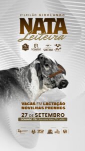 2-leilao-girolando-nata-leiteira