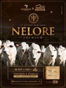 2-leilao-parceria-nelore-premium