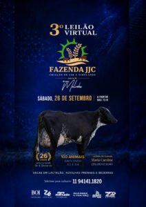 3-leilao-virtual-fazenda-jjc