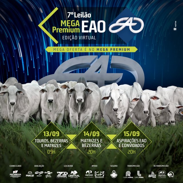 7º Leilão Mega Premium EAO – Touros, Bezerras & Matrizes