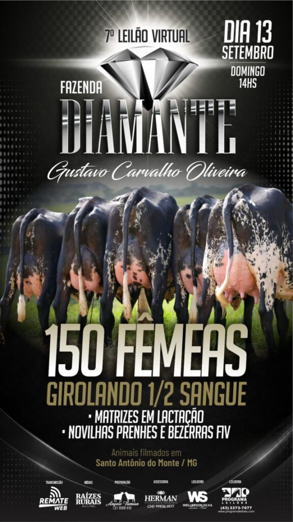 7º Leilão Virtual Fazenda Diamante – Girolando