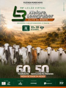 79-leilao-virtual-nelore-lemgruber-novilhas-po-prenhes