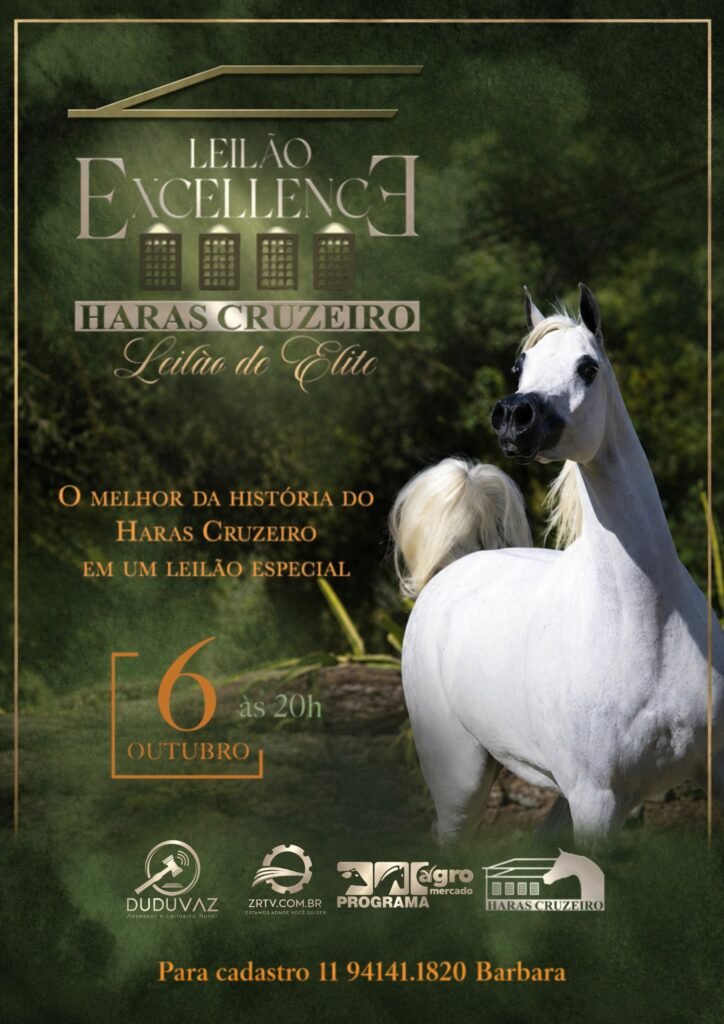 Leilão Excellence Haras Cruzeiro - Elite