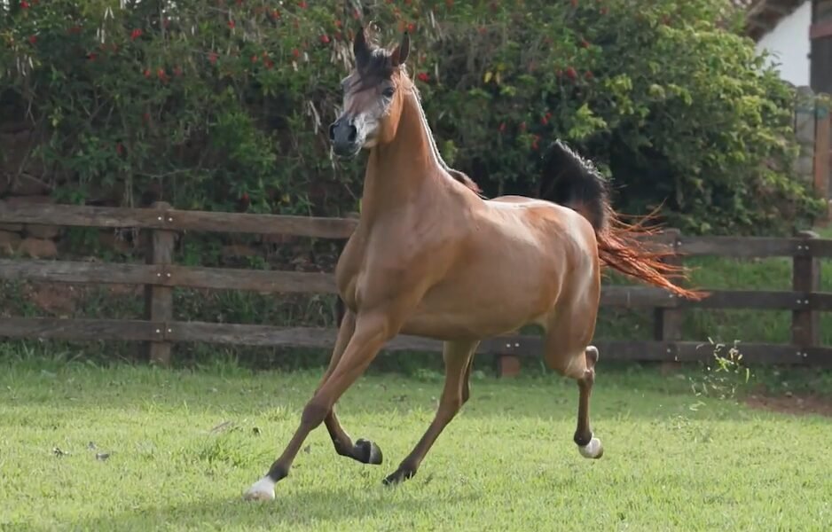 LOTE 15 – Lalabela LA