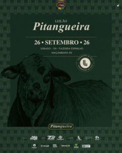 leilao-pitangueira