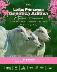 leilao-primavera-genetica-aditiva-etapa-femeas