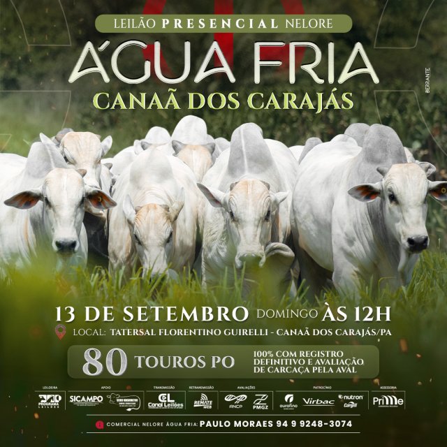 Leilão Touros Água Fria – Canaã dos Carajás