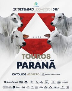 leilao-touros-nelore-parana-100-touros
