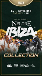 leilao-virtual-nelore-ibiza-collection