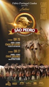 leilao-virtual-sao-pedro-agropecuaria-girolando