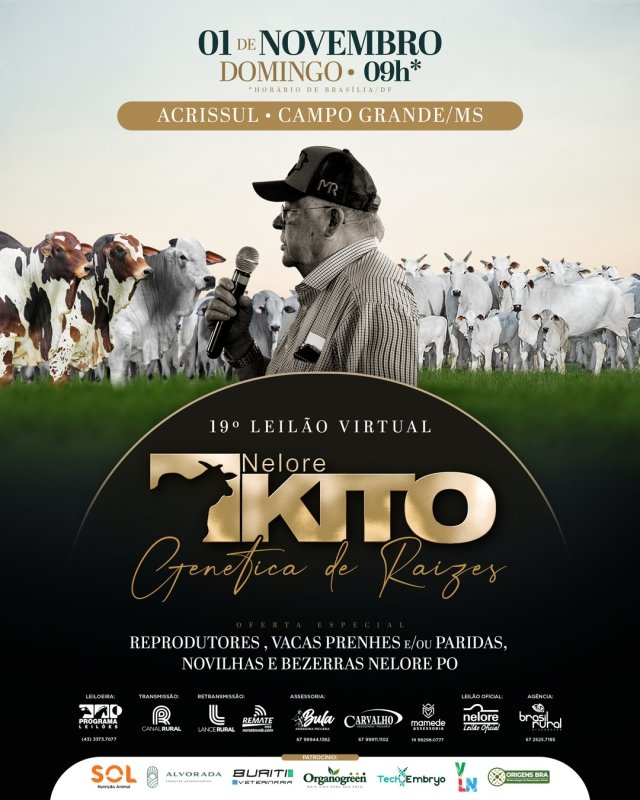 19º Leilão Virtual Nelore Kito