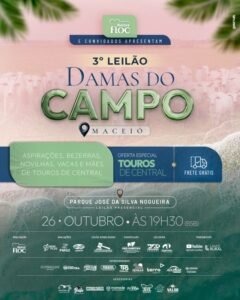 3-leilao-damas-do-campo-nelore-floc