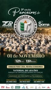 3-leilao-parceiros-do-sindicato-rural-barra-dos-garcas