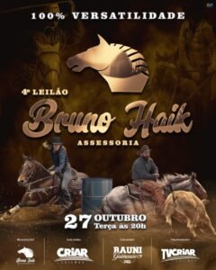 4-leilao-bruno-haik-assessoria