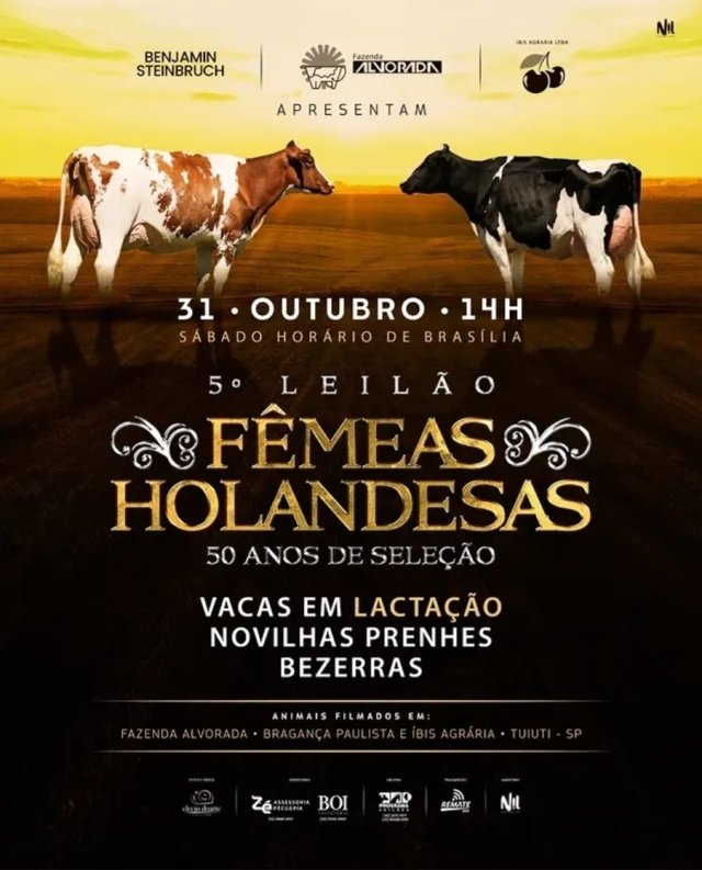 5º Leilão Fêmeas Holandesas