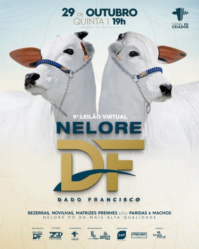 9º Leilão Virtual Nelore DF