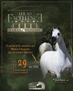 leilao-excellence-haras-cruzeiro