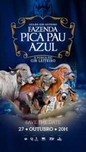 leilao-gir-leiteiro-pica-pau-azul