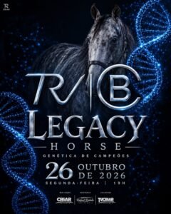 leilao-legacy-horse