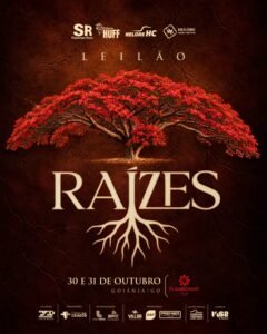 leilao-raizes