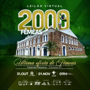 leilao-virtual-2000-femeas-fazenda-ressaca