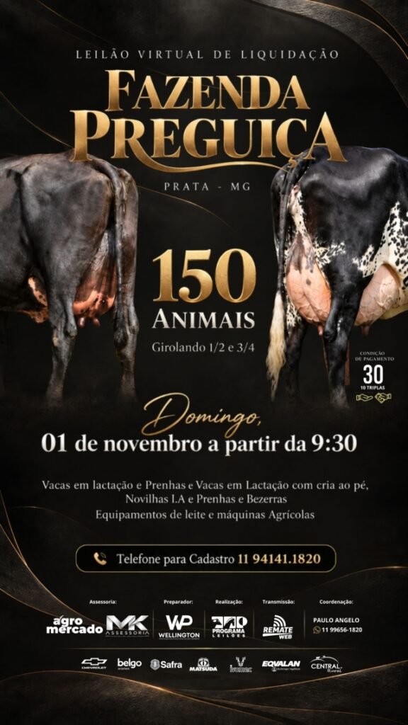 Leilão Virtual Liquidação Fazenda Preguiça